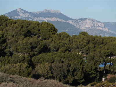 DSCF3789.jpg