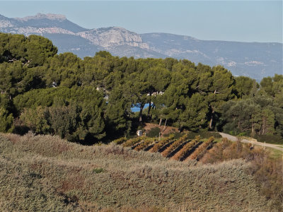 DSCF3792.jpg