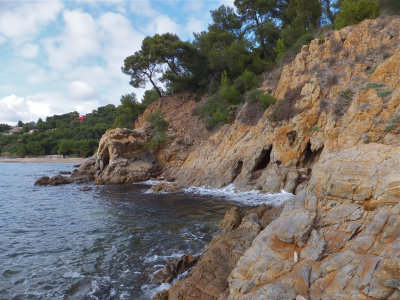 DSCF4220.jpg