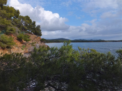 DSCF4259.jpg