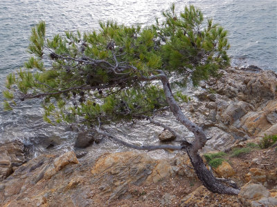 DSCF4334.jpg