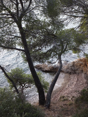 DSCF4351.jpg