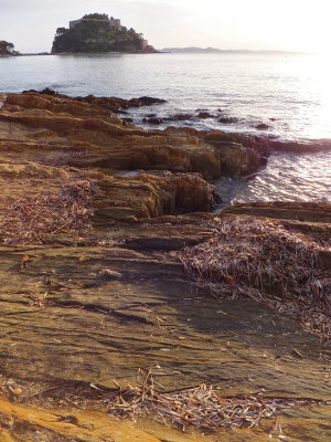 DSCF4372.jpg