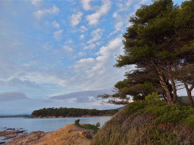DSCF4396.jpg