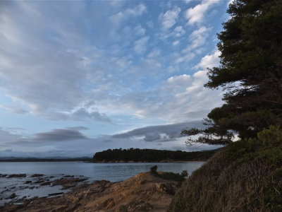 DSCF4398.jpg