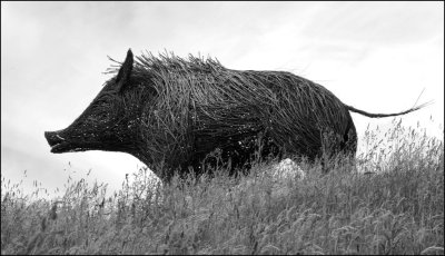 Wicker Boar