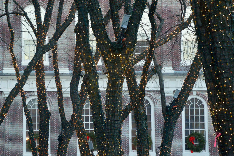20121215 - Boston Photo Walk - 204.jpg