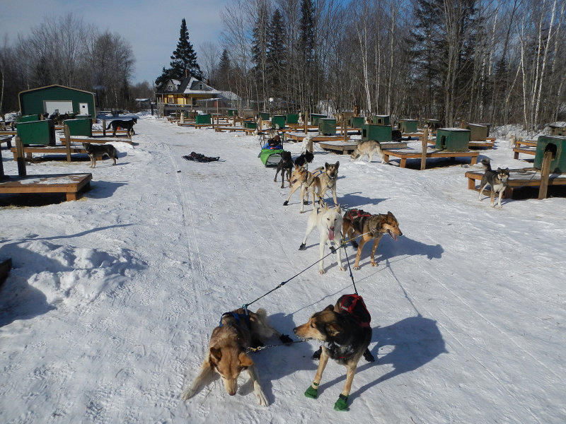 20130125 - Kathy & Emily Dog Sled Weekend - 065.jpg