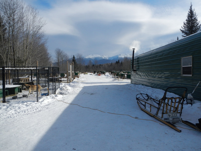 20130125 - Kathy & Emily Dog Sled Weekend - 067.jpg
