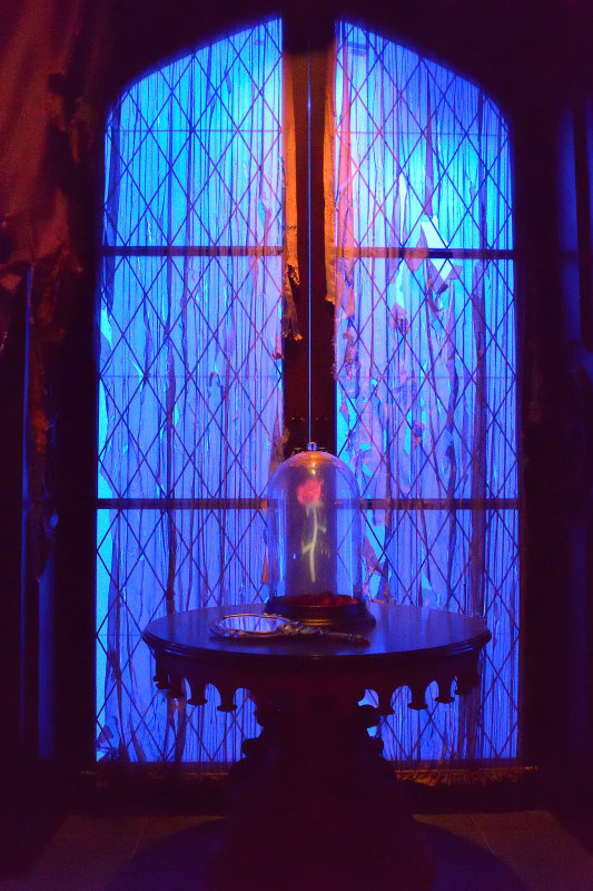 20130222 - Disney Magic Kingdom - 0456.jpg