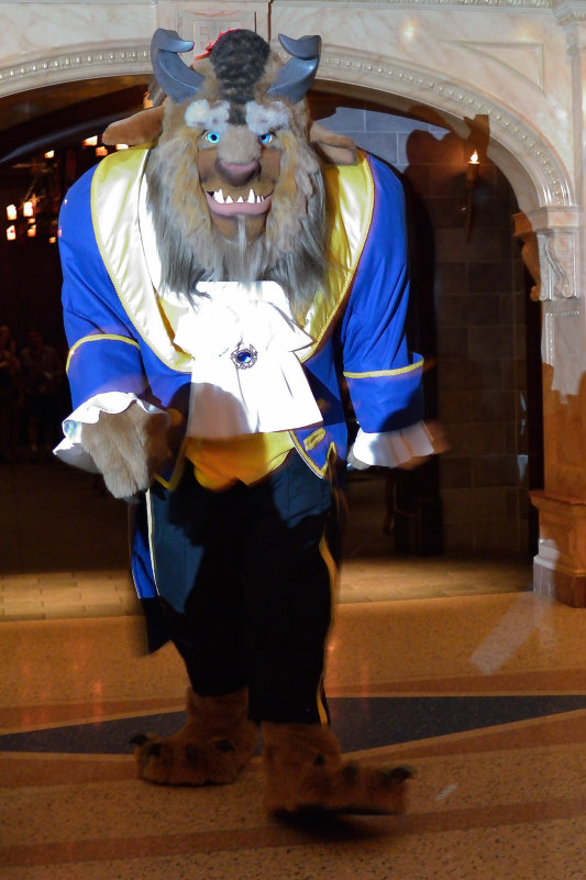 20130222 - Disney Magic Kingdom - 0482.jpg