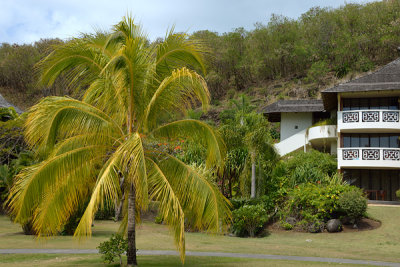 20121006 - Tahiti - 0059.jpg
