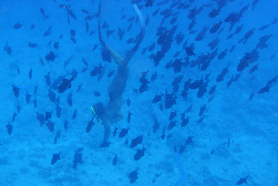 20121009 - Bora Bora (AW) - 0041.jpg