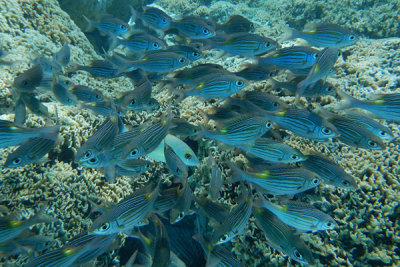 20121009 - Bora Bora (AW) - 0164.jpg