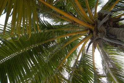 20121010 - Bora Bora (AW) - 0023.jpg