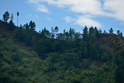 20121012 - Moorea - 0085.jpg