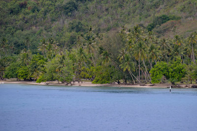 20121012 - Moorea - 0129.jpg