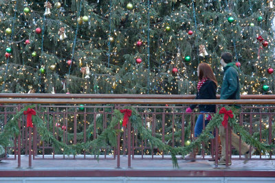20121215 - Boston Photo Walk - 108.jpg
