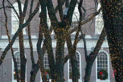 20121215 - Boston Photo Walk - 204.jpg
