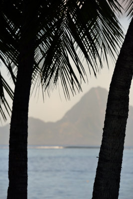 20121005 - Tahiti - 0111.jpg