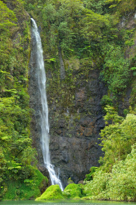 20121005 - Tahiti - 0245.jpg