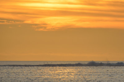 20121013 - Tahiti - 0081.jpg