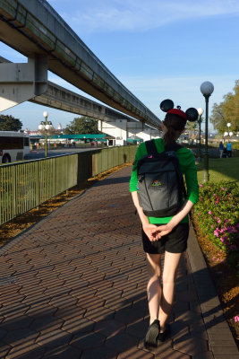 20130222 - Disney Magic Kingdom - 0006.jpg