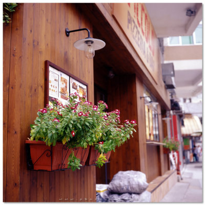 Tai Hang - 大坑