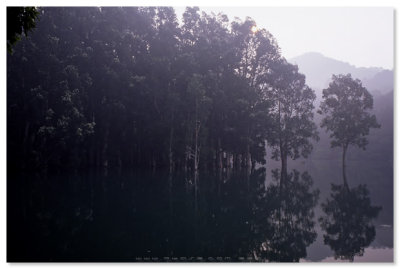 Shing Mun Reservoir  - 城門水塘