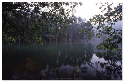 Shing Mun Reservoir  - 城門水塘