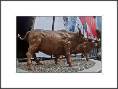 Bulls Sculpture Outside 'The Center'