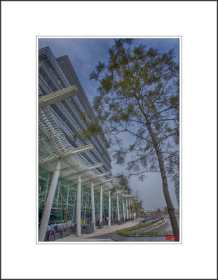 Building and Tree