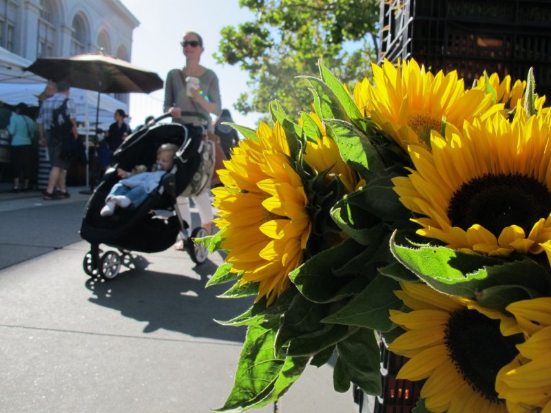 Embarcadero Farmers Market Sunflowers