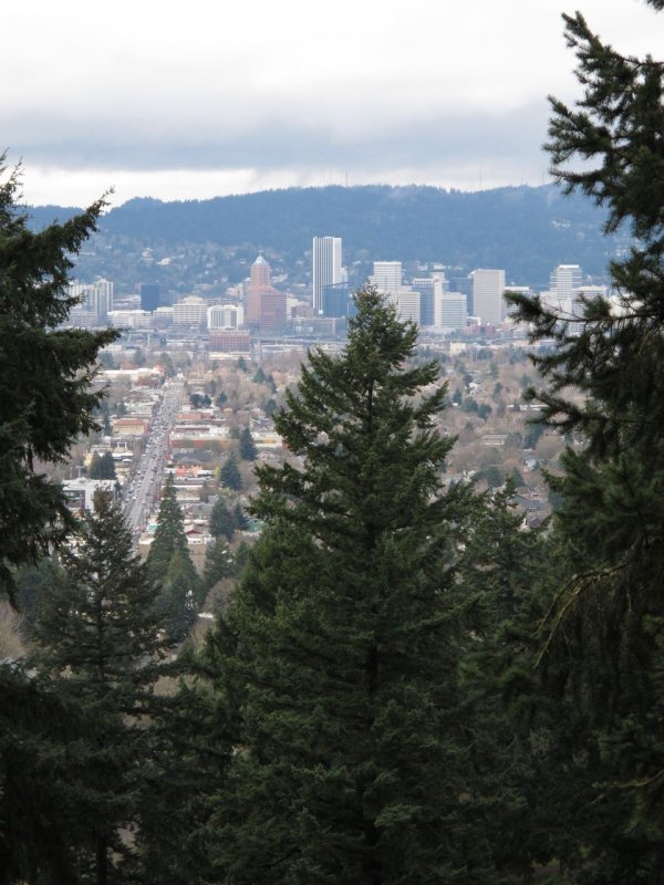 View of Downtown from Mt. Tabor