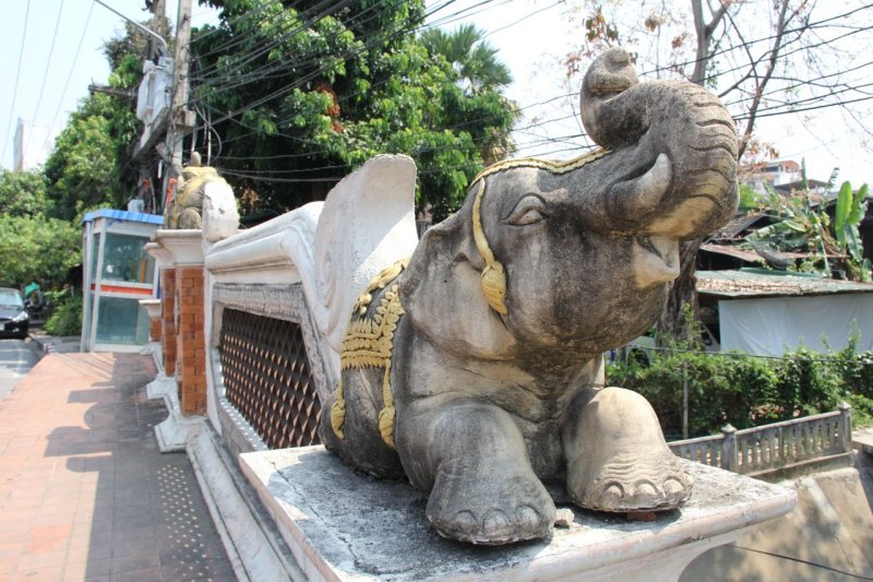 Chiang Mai Klong Elephant