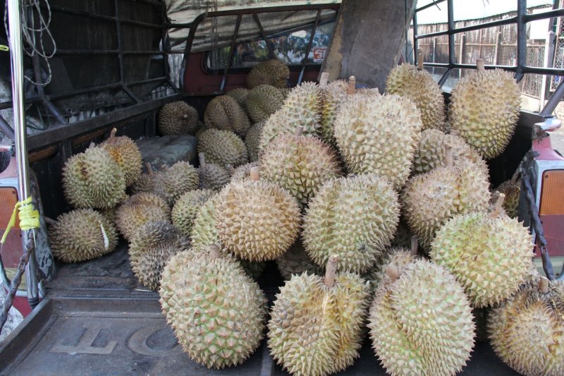 Durian Delivery Truck