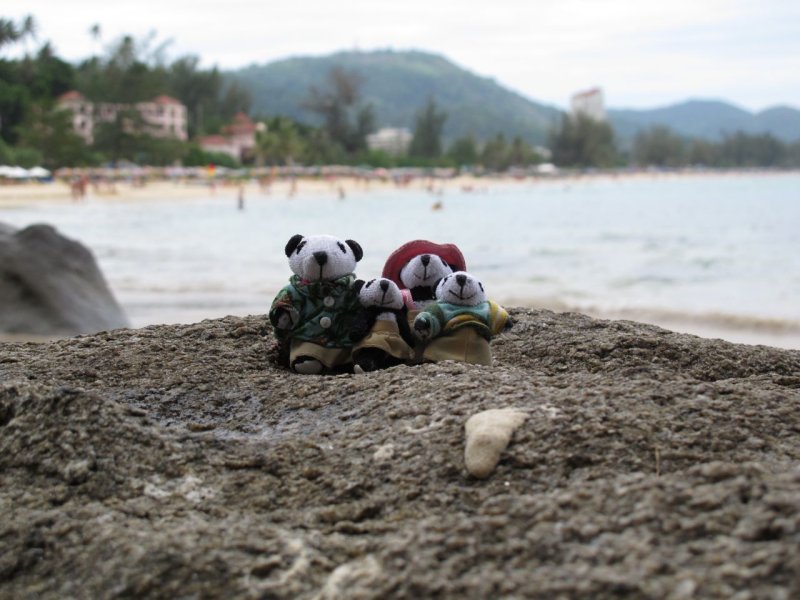 The Pandafords visit Koran Beach