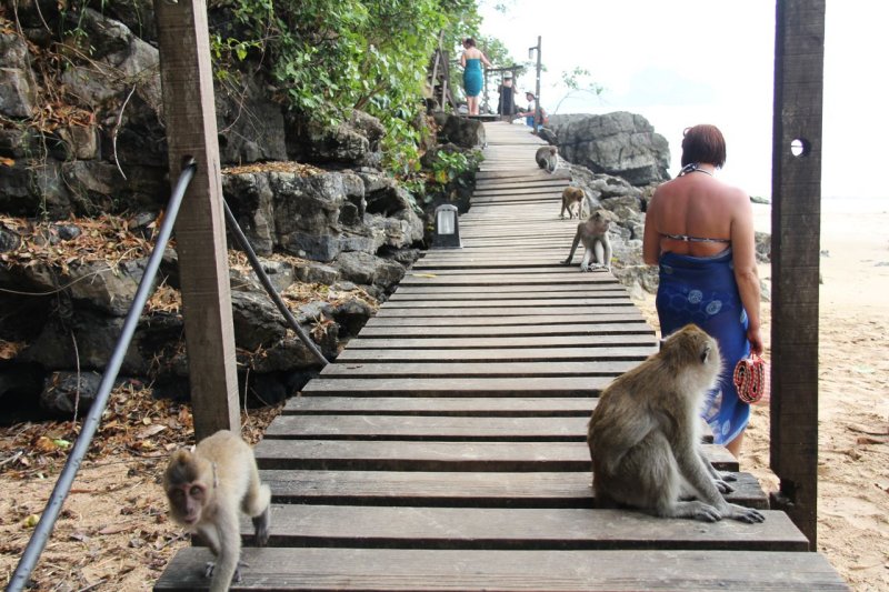 Ao Nang Monkey Trail