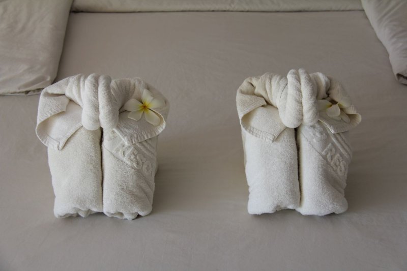 Golden Beach Resort Towel Elephants