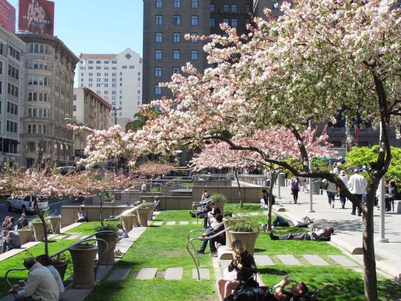 Springtime in Union Square