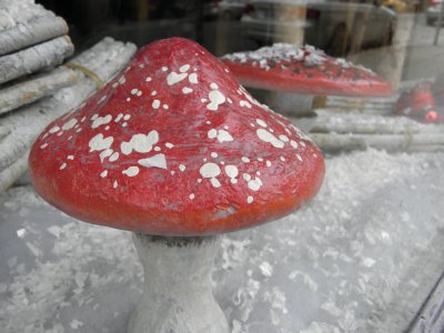 Snowy Mushroom