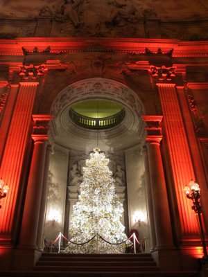San Francisco City Hall Christmas Tree
