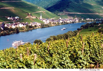 mosel view