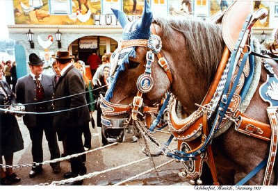 Octoberfest 1977