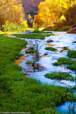 Aravaipa Fall 