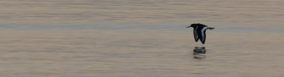 g2/41/786041/3/147856327.Ujagoxyk.jpg