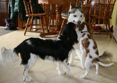 Louna Macha & Gamin