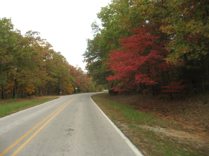 FallArkansas2012 024a.JPG