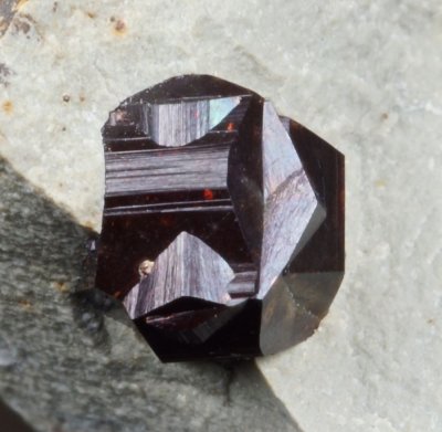 Iron cross twin, limonitized pyrite, 5 mm, Lemgo, Germany.