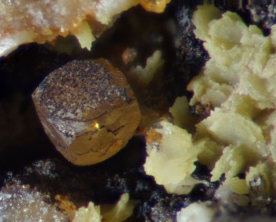 Wulfenite crystal, ca 1mm, with hydrocerussite crystals, Kinniside Mine, Cleator Moor, Cumbria.